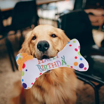 יום הולדת צעצוע לכלב צעצוע קטיפה גור כלב-עצם צעצוע כלב עצם כרית מסיבת יום הולדת הכלב אספקה